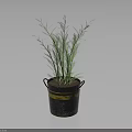 Green Plant with Slender Green Leaves in Black Bucket Featuring Yellow Stripes against Gray Background