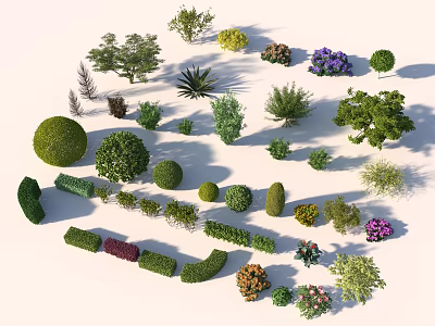 Various Shaped And Flowering Shrub Varieties For Garden Landscaping Design 3d model