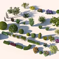 Various Shaped And Flowering Shrub Varieties For Garden Landscaping Design