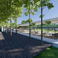 Sunny Courtyard Garden With Wooden Planter Boxes Lush Trees And Stone Pathway