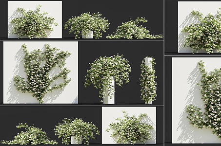 Modern small fruit rose creeper morning glory vine plant combination vine green plant wall plant rose flower vine plant climbing vine combination 3d model