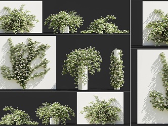 Modern small fruit rose creeper morning glory vine plant combination vine green plant wall plant rose flower vine plant climbing vine combination 3d model