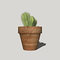 Green Cactus Potted Plant in Rustic Terracotta Pot for Indoor Decor
