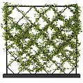 Green Vines Covered Black Grid Decorative Wall For Outdoor Garden Space 3d model