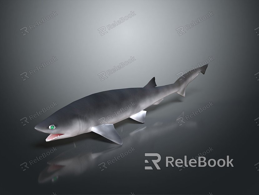 Shark cartoon shark great white shark whale shark hammerhead shark tiger shark man-eating shark blue shark freshwater fish model