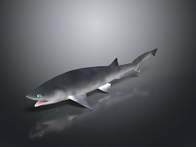 Realistic Aquatic Animal Shark With Gray Body Green Eyes Open Mouth And Underwater Features 3d model