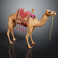 Adorned Camel With Ornate Colorful Decorative Blanket And Yellow Rope
