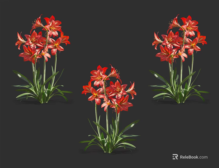 Vibrant Red Blooming Flowers With Green Leaves And Stems In Three Bouquets 3d model 