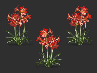 Vibrant Red Blooming Flowers With Green Leaves And Stems In Three Bouquets 3d model