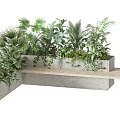 Outdoor Bench In Natural Modern Style With Concrete Wooden Frame And Green Plants Palm Ferns