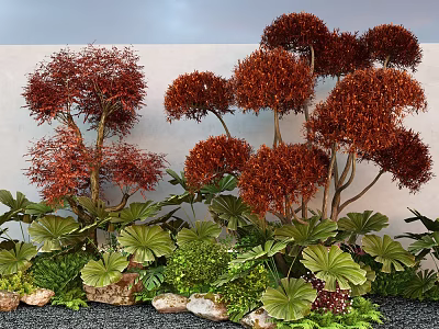 Decorative Plant Combination With Red Brown Foliage Green Large Leaves And Stones 3d model