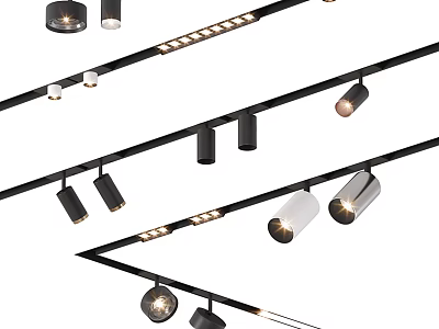 Contemporary Track Mounted Downlights and Spotlights with Various Styles for Ceiling Lighting 3d model