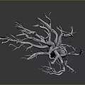 Leafless Dead Tree With Textured Trunk And Spreading Branches On Simple Gray Gradient Background