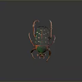 Colorful Decorative Beetle With Green Back Red Spots And Orange Legs