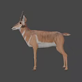 Realistic 3D Antelope Model With Brown Fur And Standing Pose 3d model