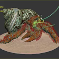 Vibrant Red Hermit Crab With Blue Spotted Claws And Turquoise Shell On Sandy Base