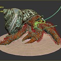 Modern Hermit Crab Crab Sea Crab River Crab Hairy Crab 3d model