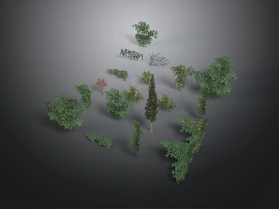 Various Green Plants Collection Including Trees And Shrubs On Grey Background 3d model