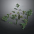 Various Green Plants Collection Including Trees And Shrubs On Grey Background
