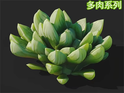 Vibrant Succulent Plant With Plump Green Leaves And Rosette Shape For Home Decor 3d model