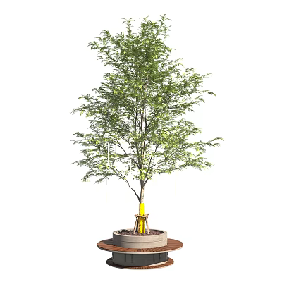 Round Concrete Tree Planter With Yellow Wrapped Trunk And Healthy Green Tree 3d model