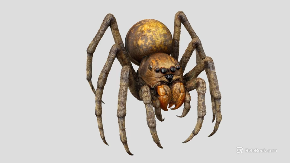 Realistic Hairy Brown Spider With Eight Long Legs Sharp Fangs And Large Eyes 3d model 