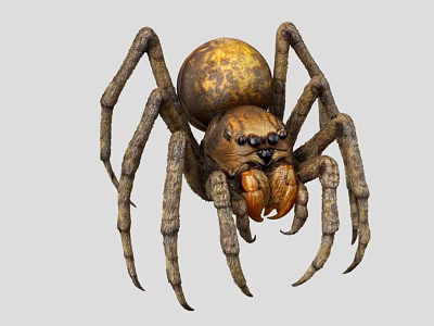 Realistic Hairy Brown Spider With Eight Long Legs Sharp Fangs And Large Eyes 3d model