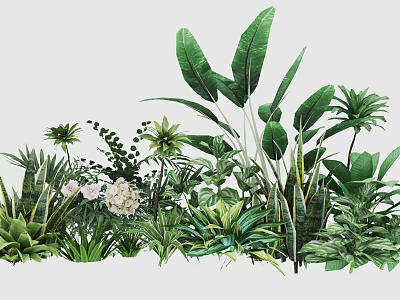 Assorted Indoor Plant Combination With Large Green Leaves Small Foliage And White Flowers 3d model