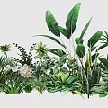 Assorted Indoor Plant Combination With Large Green Leaves Small Foliage And White Flowers