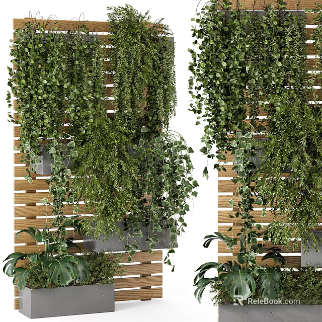 Lush Bonsai and Potted Plants on Wooden Wall with Hanging Greenery and Various Foliage 3d model 
