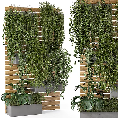 Lush Bonsai and Potted Plants on Wooden Wall with Hanging Greenery and Various Foliage 3d model