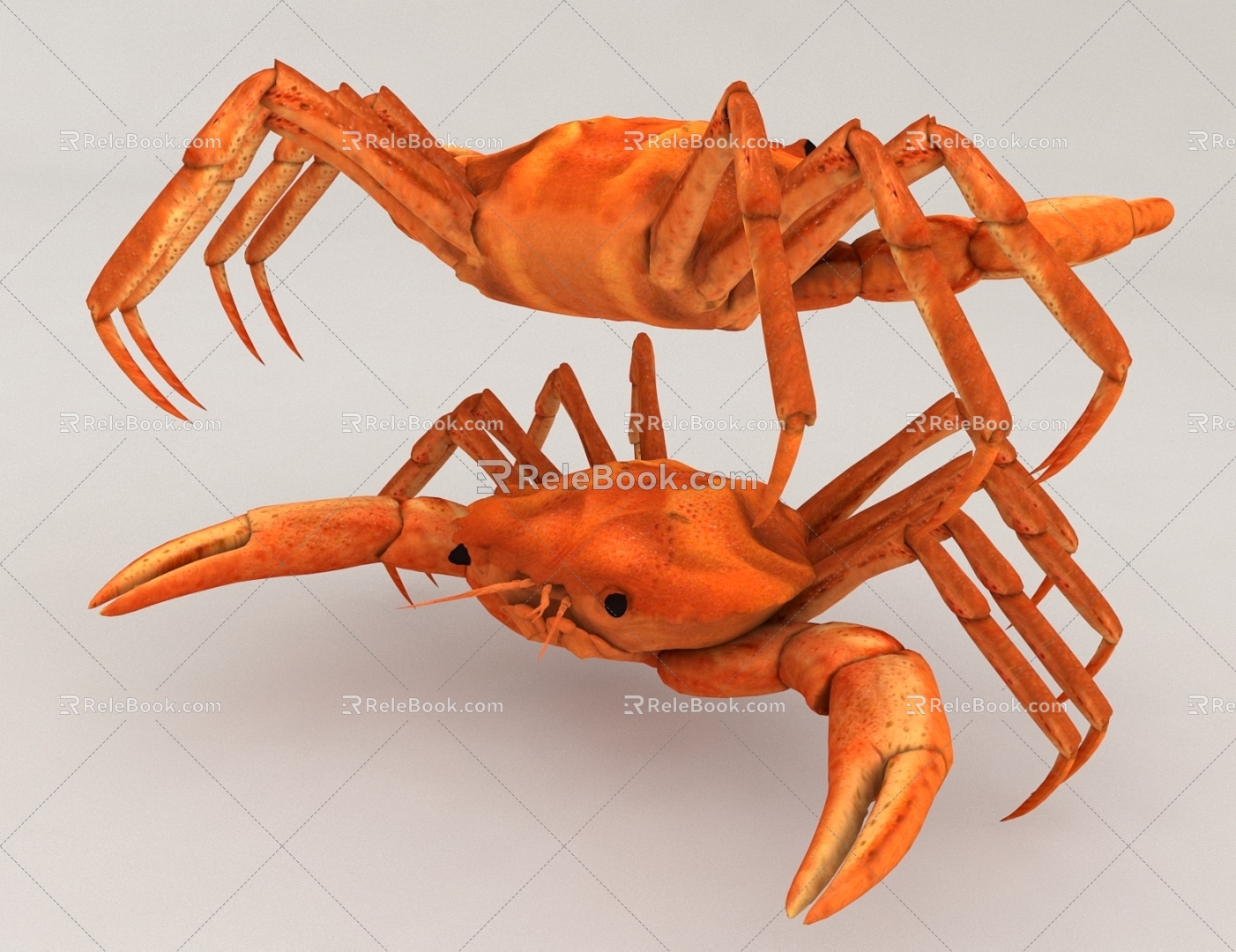 Seafood Crab with Crab 3d model