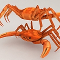 Seafood Crab with Crab 3d model