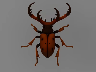 beetle 3d model