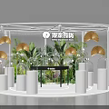 Circular White Display Shelves With Glass Bell Jars Decorative Fans And Green Plants
