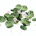 Decorative Vase With Fresh White Flowers And Green Leaves For Home Decoration