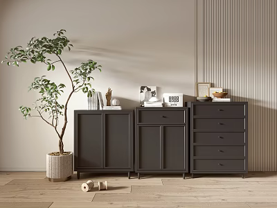 Black Entryway Cabinet and Sideboard with Decorative Items Green Plant on Wooden Floor 3d model