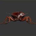 Detailed Red Cockroach With Shiny Exoskeleton And Long Legs On Dark Background