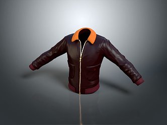 Jacket Leather Jacket Fashion Jacket Casual Jacket 3d model