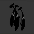 Three Black And White Orcas Swimming In Dark Background With Reflective Surface
