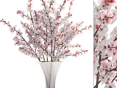 White Vase With Lush Pink And White Blossom Branches Floral Arrangement 3d model