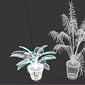 Home Decorative Green Plants with Wide Leaves and Long Fronds in White and Gray Pots
