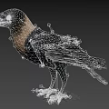 Realistic Flying Animal Crow With Black And Brown Feathers Standing On Gray Background