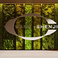 Modern Living Plant Wall Design With Decorative Frame And Green Foliage