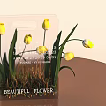Red Tulips With Green Leaves In Transparent Container Featuring Beautiful Flower Label And Size Measurements