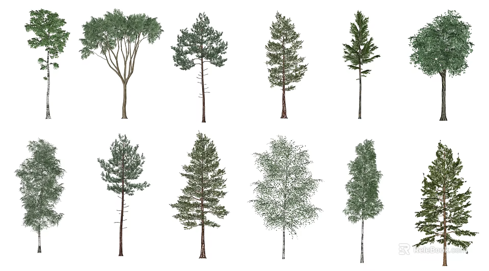 Different Types Of Arbor Trees With Green Foliage Isolated On White Background 3d model 