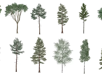Different Types Of Arbor Trees With Green Foliage Isolated On White Background 3d model