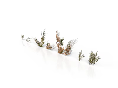 3D Grass Bush Models With Different Shapes And Colors On White Background 3d model