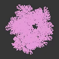 Beautiful Arbor With Lush Purple Flowers Blooming Vibrantly In Garden Space