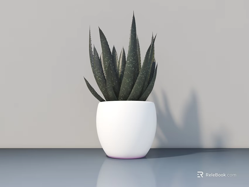Minimalist Potted Succulent Plant With White Pot And Long Green Speckled Leaves On Blue Tabletop 3d model 